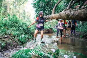 BIB: 
                            <button type="button" onclick="openModal(25477791)" class="btn btn-primary btn-sm float-right btn-popup" data-toggle="modal" data-target=".modal-high-quality">
                        <i class="fas fa-shopping-cart"></i> Add to Cart
                    </button>
                                            <button type="button" onclick="isThisMe(25477791, true)" class="btn btn-success btn-sm float-right btn-popup btn-isme hidden" data-toggle="tooltip" data-placement="bottom" title="นี่คือรูปของคุณใช่ไหม คลิกที่นี่เพื่อเอาเข้าอัลบั้ม">
                        <i class="fas fa-plus"></i> Add to album
                    </button>
                    <button type="button" onclick="isThisMe(25477791, false)" class="btn btn-warning btn-sm float-right btn-popup btn-isnotme hidden">
                        <i class="fas fa-ban"></i> Remove from album
                    </button>